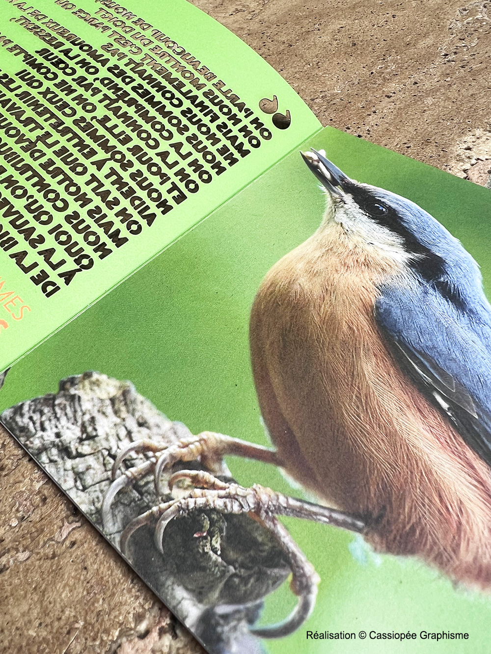 carte-papier-decoupe